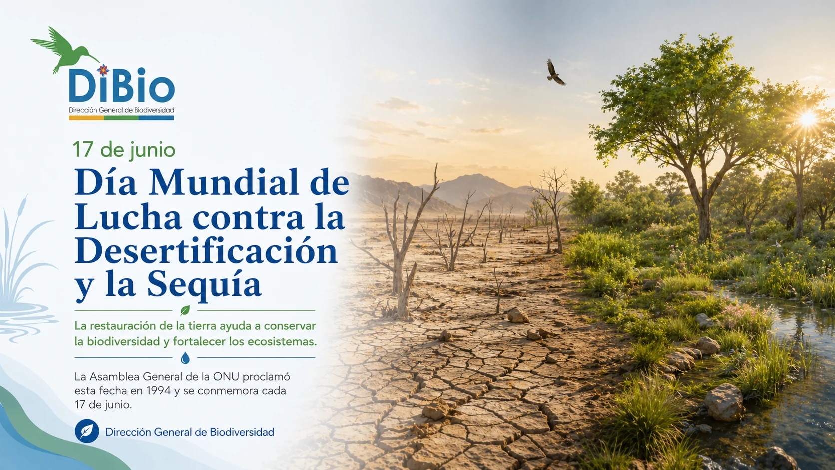 Día Mundial de Lucha contra la Desertificación y la Sequía
